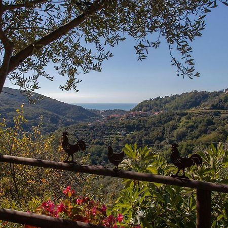 Pietrantica - Affittacamere Con Giardino Nuova Apertura A Trebiano -Citr Εξωτερικό φωτογραφία