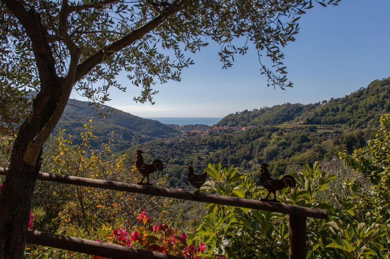 Pietrantica - Affittacamere Con Giardino Nuova Apertura A Trebiano -Citr Εξωτερικό φωτογραφία