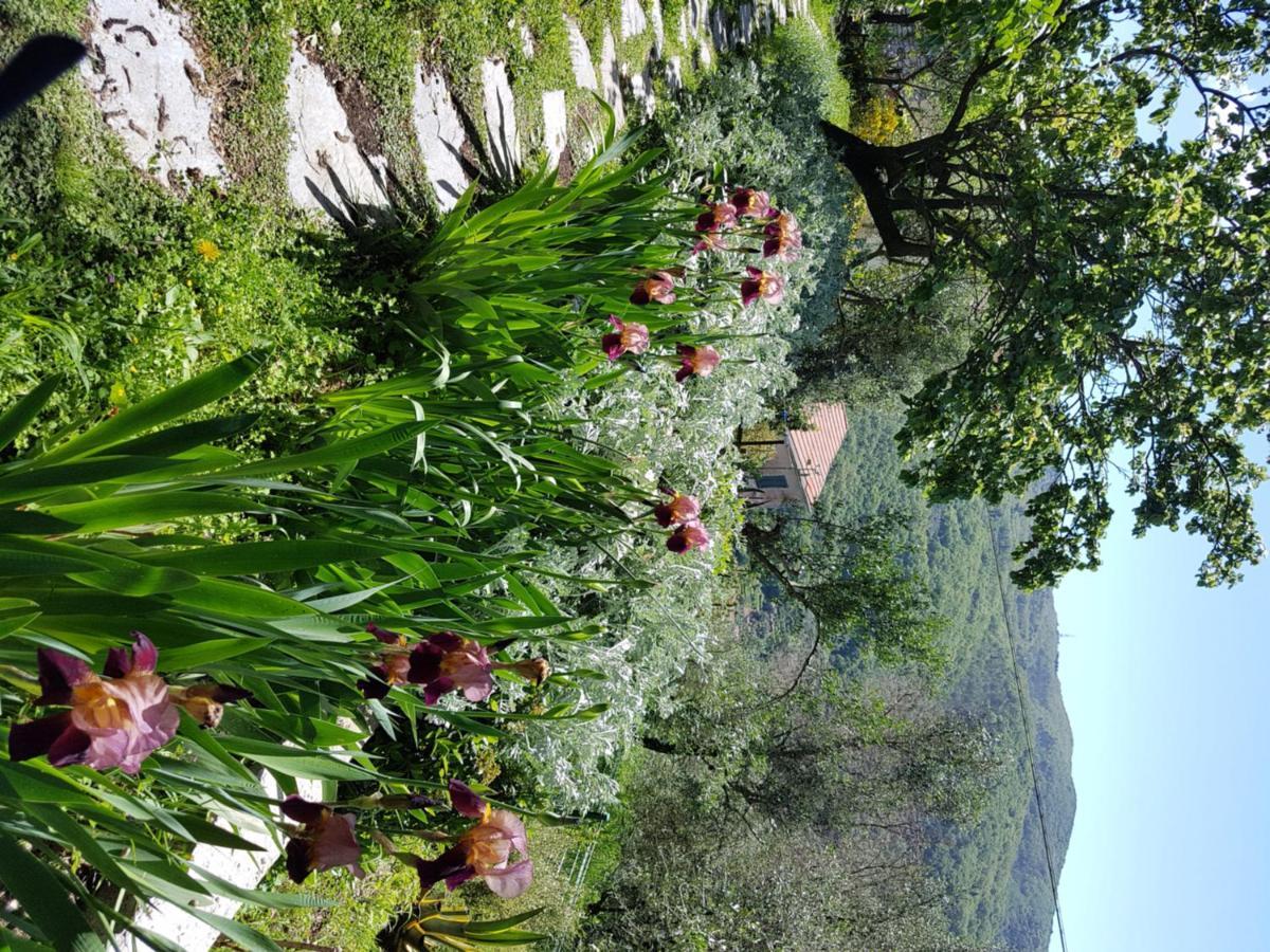 Pietrantica - Affittacamere Con Giardino Nuova Apertura A Trebiano -Citr Εξωτερικό φωτογραφία