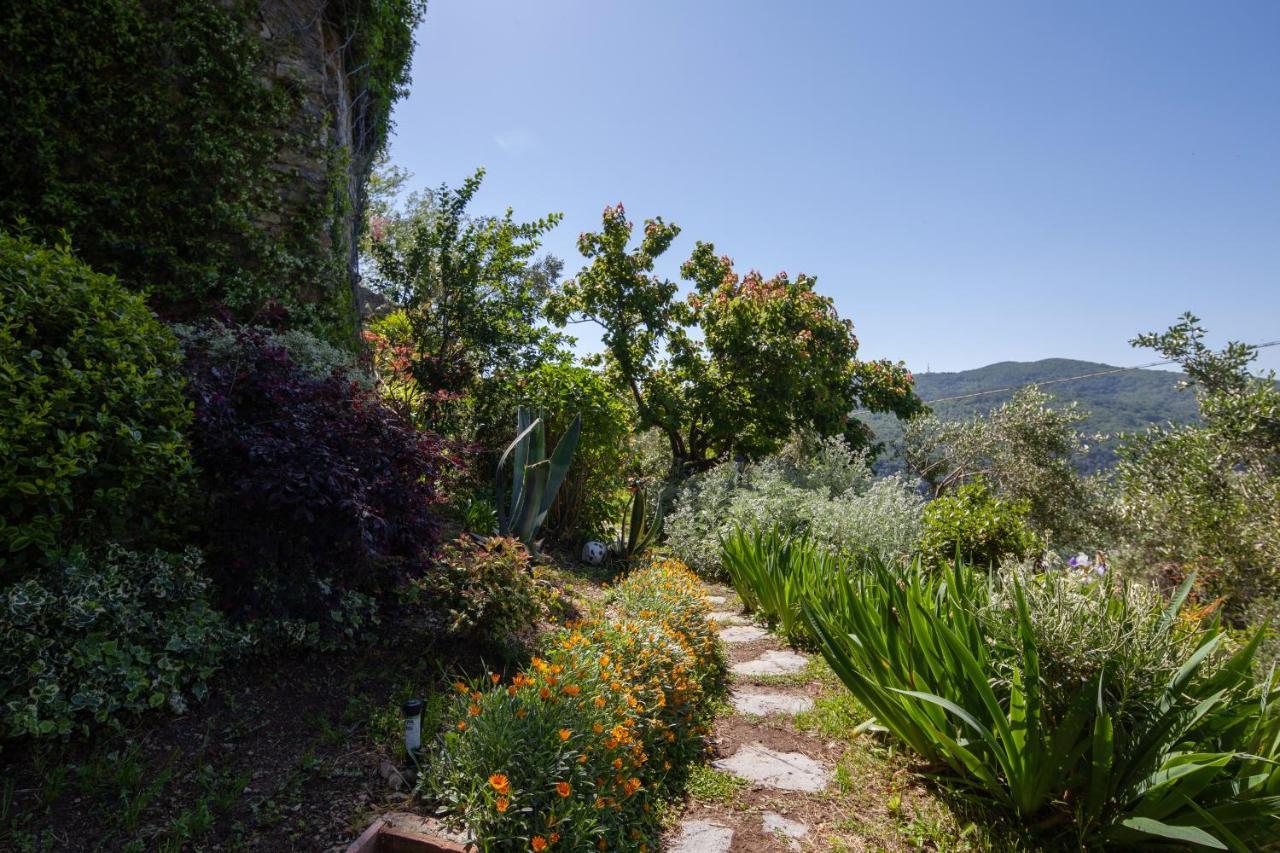 Pietrantica - Affittacamere Con Giardino Nuova Apertura A Trebiano -Citr Εξωτερικό φωτογραφία