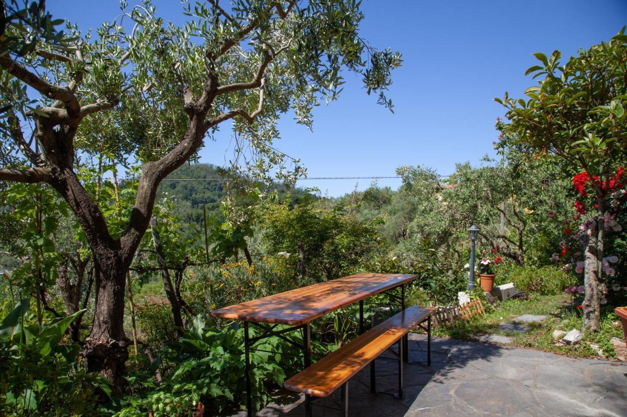 Pietrantica - Affittacamere Con Giardino Nuova Apertura A Trebiano -Citr Εξωτερικό φωτογραφία