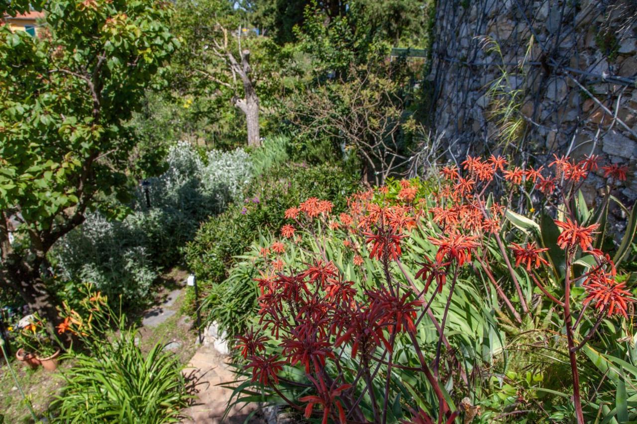 Pietrantica - Affittacamere Con Giardino Nuova Apertura A Trebiano -Citr Εξωτερικό φωτογραφία