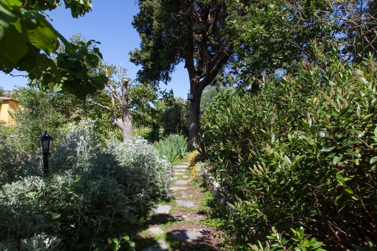 Pietrantica - Affittacamere Con Giardino Nuova Apertura A Trebiano -Citr Εξωτερικό φωτογραφία